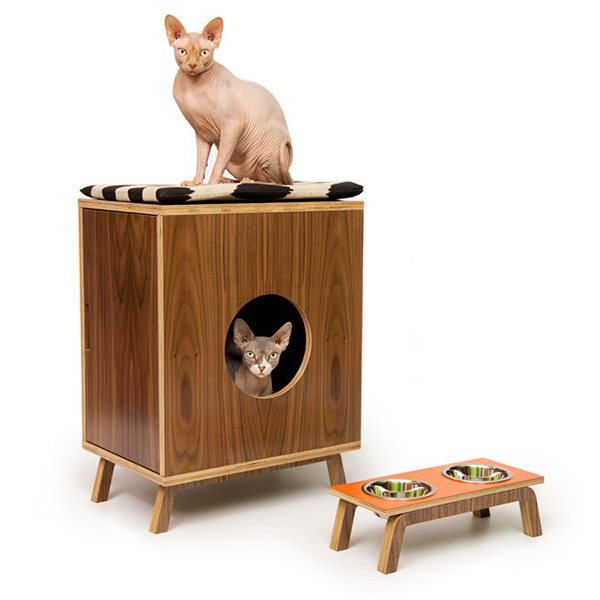 ���������, �� ����: �������� ������� ������ � ����������