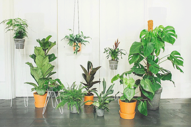 ������ ��������� � ������� ������� �������