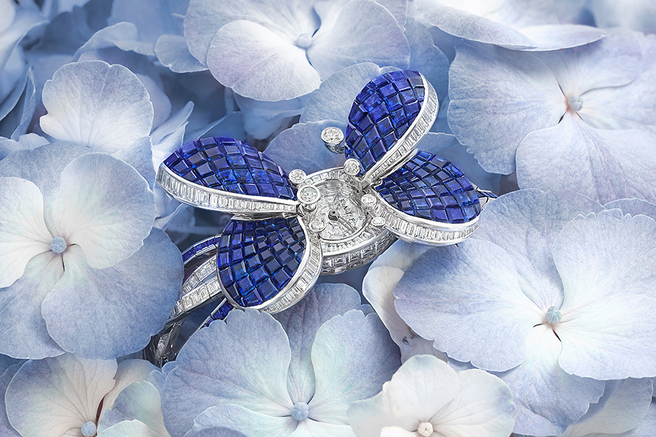 ������� � ��������: ��������� ������������ ������� ������� ���� Graff