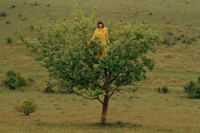 ������� �����