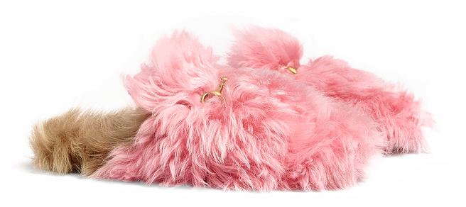 ���� ���: ���� Gucci