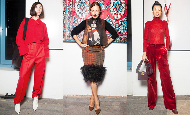 ����� ��������� The Vanderlust