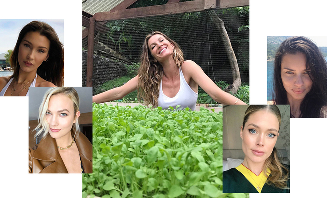 ������ �������: ��� �������� ��� ����������